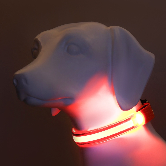 Ошейник с подсветкой Двойная полоса размер XL, ОШ 52-60 х 2,5 см 3 режима свечения оранж Ошейник с подсветкой Двойная полоса размер XL, ОШ 52-60 х 2,5 см 3 режима свечения оранж
