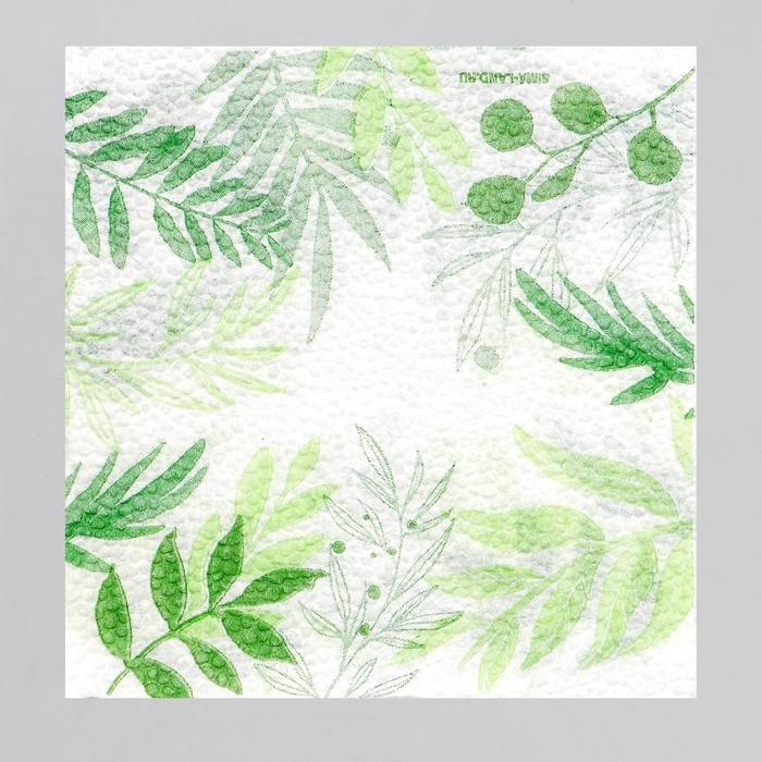 Салфетки бумажные &laquo;Узоры природы&raquo;, 24х24 см, 20 шт