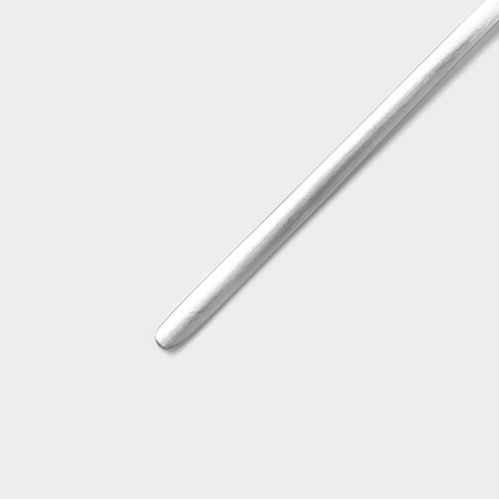 Набор ложек чайных из нержавеющей стали Доляна Sentiment, длина 14 см, 6 шт, цвет серебряный Набор ложек чайных из нержавеющей стали Доляна Sentiment, длина 14 см, 6 шт, цвет серебряный