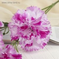 Цветы искусственные "Гвоздички" 8х67 см, бело-сиреневый Цветы искусственные "Гвоздички" 8х67 см, бело-сиреневый