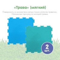 Модульный массажный коврик ОРТОДОН, набор «Чистюля», антибактериальный Модульный массажный коврик ОРТОДОН, набор «Чистюля», антибактериальный