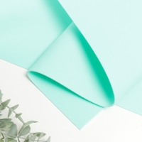 Фоамиран иранский 2 мм (аквамарин) 60х70 см Фоамиран иранский 2 мм (аквамарин) 60х70 см