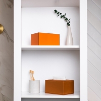 Шкатулка - диспенсер из акрила, цвет оранжевый 10 х 18 х 12 см (салфетница) Шкатулка - диспенсер из акрила, цвет оранжевый 10 х 18 х 12 см (салфетница)