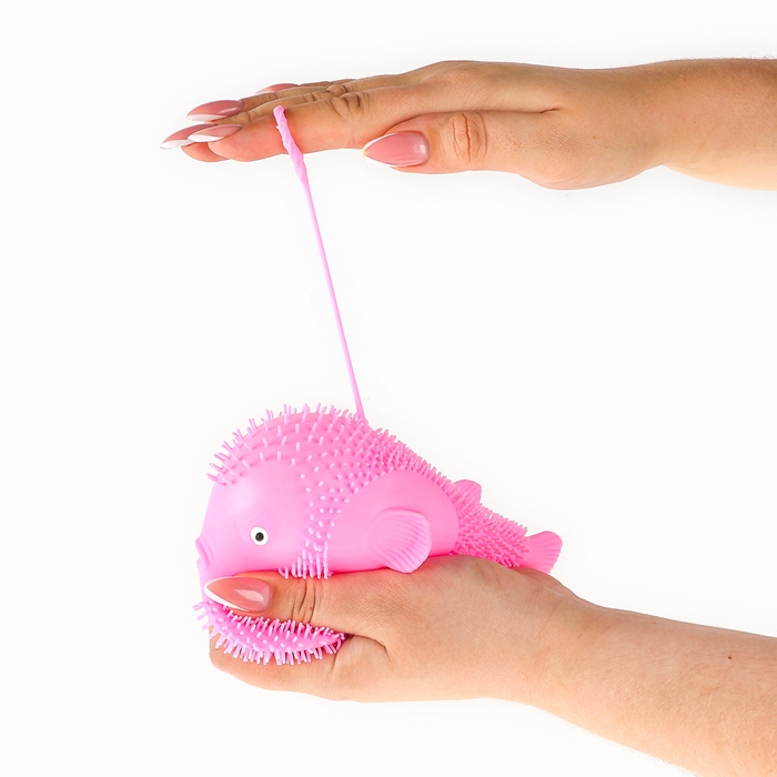 Ёжка «Рыбка» световой, цвета МИКС Ёжка «Рыбка» световой, цвета МИКС