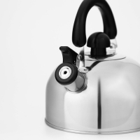 Чайник со свистком из нержавеющей стали Доляна &laquo;Чёрная ночь&raquo;, 2 л, индукция, цвет хромированный