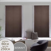 Штора рулонная «Нюд», 60×250 см, цвет шоколад Штора рулонная «Нюд», 60×250 см, цвет шоколад
