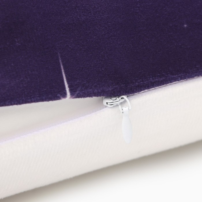 Новый год. Символ года. Змея. Чехол на подушку Этель &laquo;Милая змейка&raquo; 40х40 см, велюр