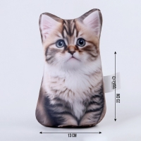 Антистресс игрушка &laquo;Котик Сибиряк&raquo;