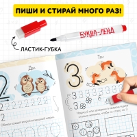 Многоразовые прописи &laquo;Пишем цифры&raquo;, 12 стр., маркер