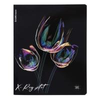 Тетрадь 96 листов в клетку, ErichKrause X-Ray Art, обложка мелованный картон, голографическая ламинация, блок офсет 100% белизна, МИКС Тетрадь 96 листов в клетку, ErichKrause X-Ray Art, обложка мелованный картон, голографическая ламинация, блок офсет 100% белизна, МИКС