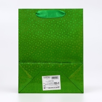 Пакет подарочный, фольгированный, упаковка, с окном, "Зеленый", S 23,5 х18 х 8,5 см Пакет подарочный, фольгированный, упаковка, с окном, "Зеленый", S 23,5 х18 х 8,5 см