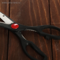 Набор ножей кухонных на подставке, 6 предметов: 5 ножей 8,5 см, 12 см, 12 см, 19,7 см, 19 см, ножницы, цвет чёрный Набор ножей кухонных на подставке, 6 предметов: 5 ножей 8,5 см, 12 см, 12 см, 19,7 см, 19 см, ножницы, цвет чёрный