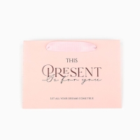 Пакет подарочный с широким дном, упаковка, &laquo;Present&raquo;, 20 х 14 х 13,2 см