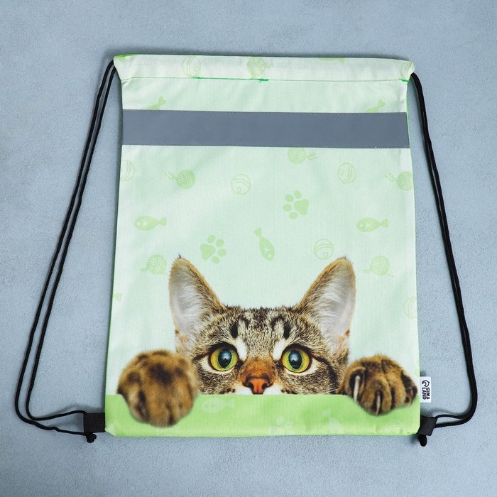Мешок для обуви со светоотражающим элементом &laquo;Забавный котёнок&raquo; 30 х 40 см