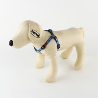 Комплект &laquo;Любимчик&raquo;, шлейка 24-36 см, поводок 120х1 см