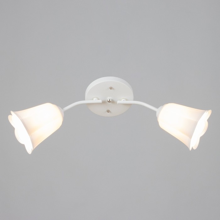 Люстра "Онлайн" (цветок) 2х15Вт Е27 МОДЕЛЬ: BR 00196 белый