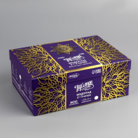 Гирлянда &laquo;Водопад&raquo; 2 &times; 3 м, IP44, УМС, белая нить, 800 LED, свечение белое, 8 режимов, 220 В