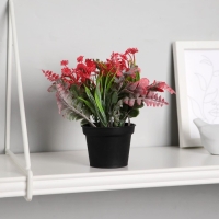 Бонсай в горшке "Скабиоза" 7х14 см, микс Бонсай в горшке "Скабиоза" 7х14 см, микс