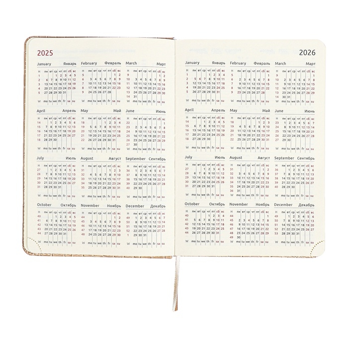 Ежедневник датированный 2025 A5 168 листов, deVENTE.Barbara, твердая обложка кожзам с поролоном, хлястик, перфорация, ляссе, блок 70, бежевый