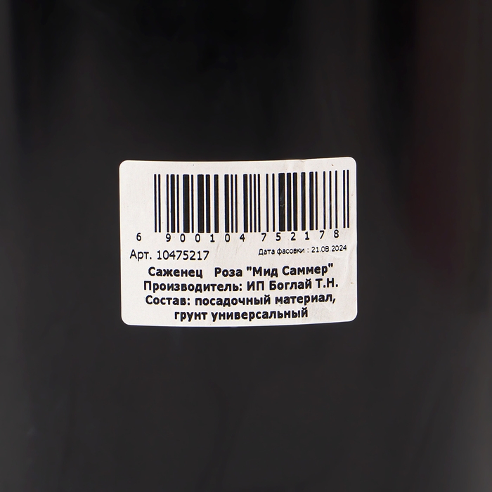 Саженец Розы "Мид Саммер", Горшок С4, Лето 2024