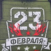 Подушка антистресс &laquo;23.02&raquo;, 30 х 20 см