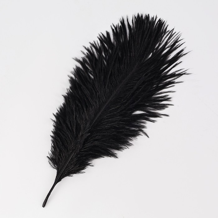 Перо для декора 1 шт., размер &mdash; 20,5 &times; 7,5 см, цвет чёрный