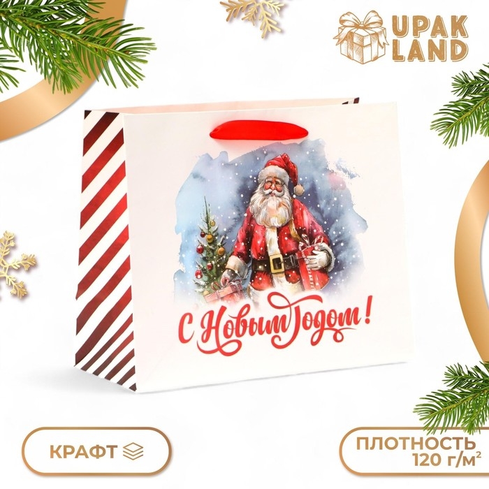 Новый год. Пакет подарочный новогодний бумажный, Новый год. Пакет подарочный новогодний бумажный, "Дед Мороз", 24 х 20 х 11 см.