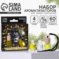Ароматизаторы в машину новогодние «Хозяину жизни» на Новый год, цитрус, тропики, парфюм (набор 3 шт) Ароматизаторы в машину новогодние «Хозяину жизни» на Новый год, цитрус, тропики, парфюм (набор 3 шт)
