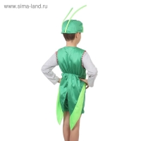 Карнавальный костюм «Кузнечик», 3-5 лет, рост 104-116 см Карнавальный костюм «Кузнечик», 3-5 лет, рост 104-116 см
