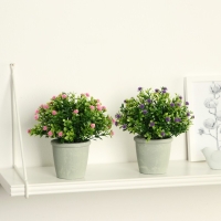 Бонсай в горшке "Цветочная симфония" 8х17 см, микс Бонсай в горшке "Цветочная симфония" 8х17 см, микс