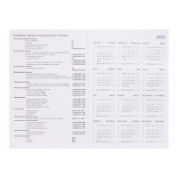 Ежедневник датированный 2024 года, А5, 176 листов, Attomex.Regent, обложка бумвинил, ляссе, блок 70 г/м2, серый