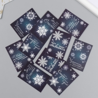 Бирка картон "Снежинка" набор 10 шт (5 видов) 4х6 см Бирка картон "Снежинка" набор 10 шт (5 видов) 4х6 см
