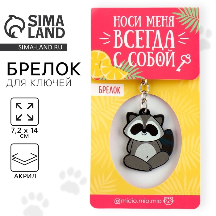 Брелок для ключей акриловый &laquo;Енот&raquo;, 7.2 х 14 см