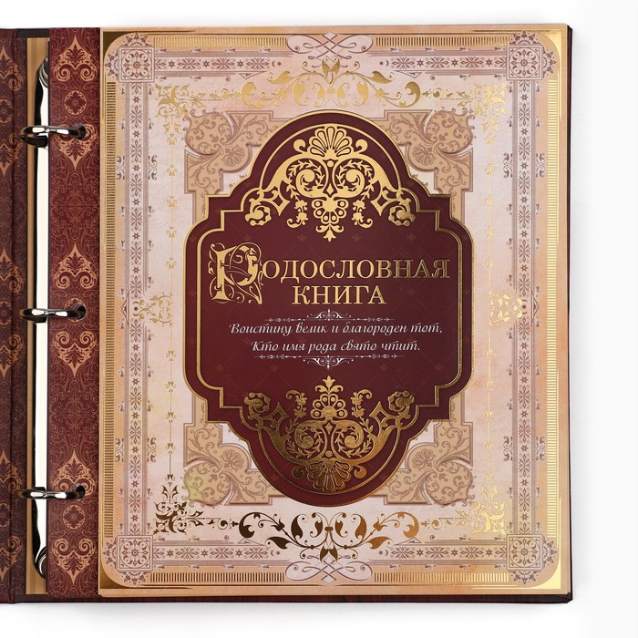 Родословная книга с рамкой под фото «Родословная книга», под дерево, 50 листов, 21,5 х 23,7 см. Родословная книга с рамкой под фото «Родословная книга», под дерево, 50 листов, 21,5 х 23,7 см.