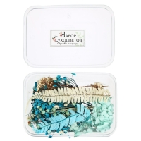 Набор для творчества &laquo;Набор сухоцветов&raquo;, большой, голубой