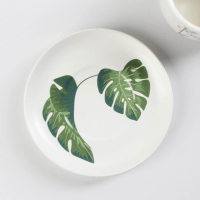 Набор керамический чайный с ложкой «Ботаника», 2 предмета: чашка 200 мл, блюдце, цвет МИКС Набор керамический чайный с ложкой «Ботаника», 2 предмета: чашка 200 мл, блюдце, цвет МИКС