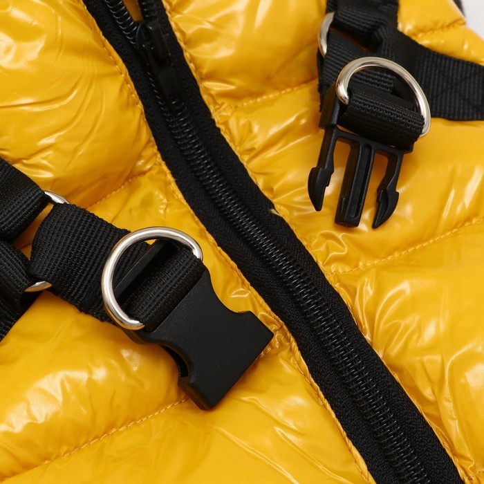 Комбинезон для собак со шлейкой Комбинезон для собак со шлейкой "Моден", размер 12 (ДС 28, ОГ 38, ОШ 27 см), жёлтый