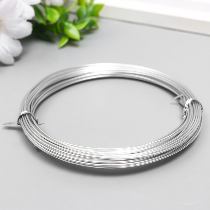 Проволока для творчества d 1мм, серебро рул.10 м Проволока для творчества d 1мм, серебро рул.10 м