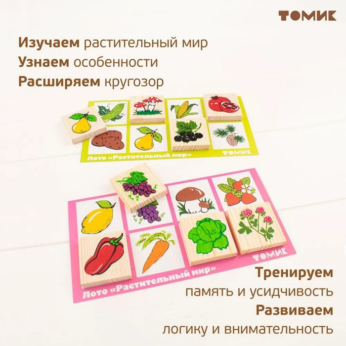 Лото &laquo;Растительный мир&raquo;