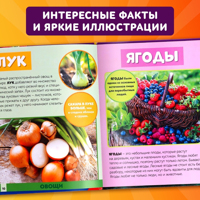 Фотоэнциклопедия для детей &laquo;Мир вокруг нас&raquo;, 48 стр.