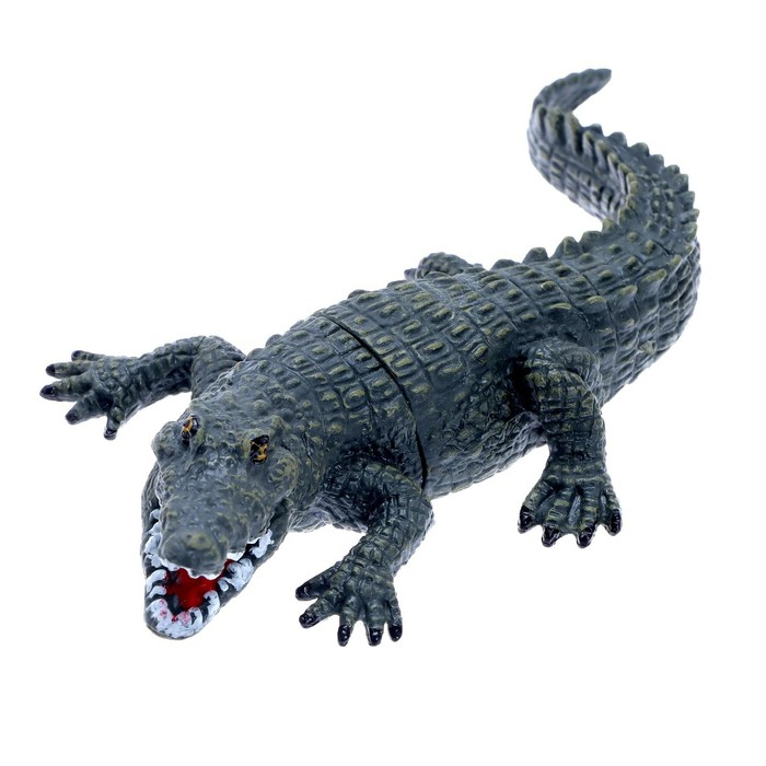 Набор животных &laquo;Дикие&raquo;