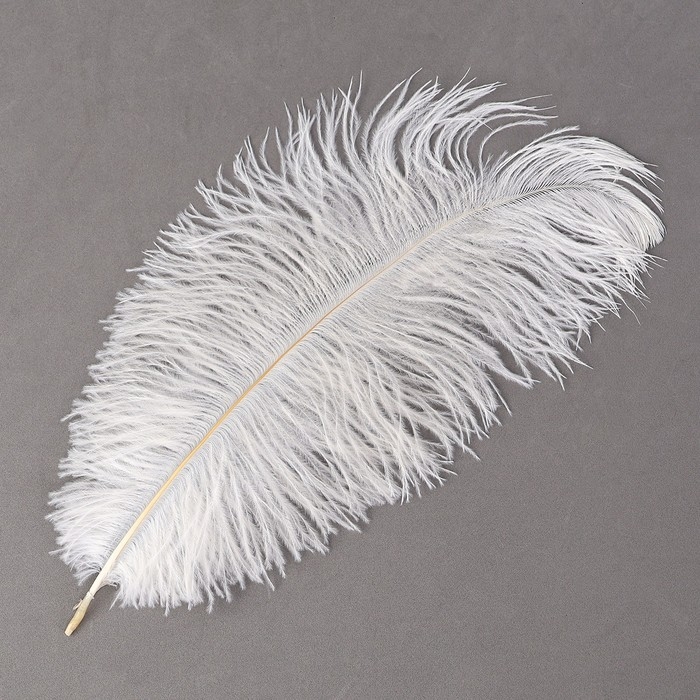 Перо для декора, размер: 30-35 см, цвет белый
