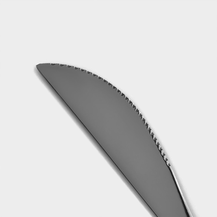 Набор ножей столовых из нержавеющей стали Magistro «Блинк», длина 22,4 см, 6 шт, цвет серебряный Набор ножей столовых из нержавеющей стали Magistro «Блинк», длина 22,4 см, 6 шт, цвет серебряный