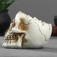 Конфетница "Череп" 14х10х11см Конфетница "Череп" 14х10х11см