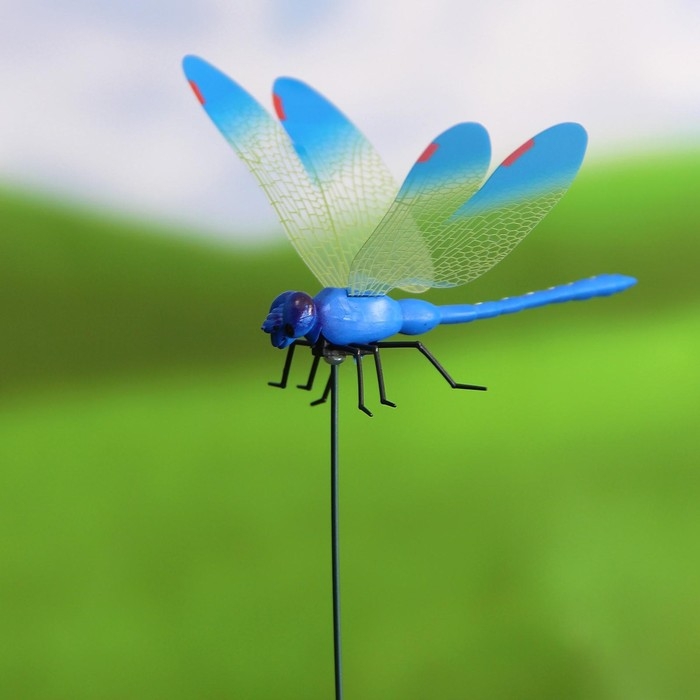 Штекер Штекер "Стрекоза Сенди" 14х9см/45см, набор 10шт, МИКС