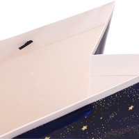 Пакет ламинированный  "Космос", XXL  46 х 61 х 20 см