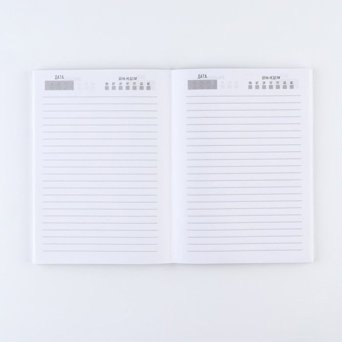 Ежедневник &laquo;Хэллоуин: Черепа&raquo;, А5, 160 листов, мягкая обложка