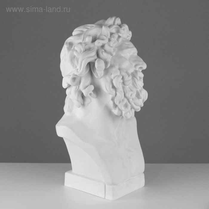 Гипсовая фигура Бюст Лаокоона, 28 х 30 х 55 см Гипсовая фигура Бюст Лаокоона, 28 х 30 х 55 см