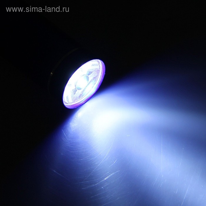 Фонарь ручной, 50 Лм, 3 ААА, 8 х 2 см