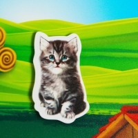 Развивающая игра на липучках &laquo;&lrm;Изучаем мир домашних животных&raquo;, методика Домана, с обучающими карточками по методике Глена Домана